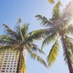 How to Organize Your Fort Lauderdale Business for Success